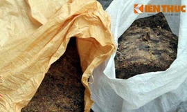 Cảnh hãi hùng trong cơ sở mỡ bẩn giữa Hà Nội