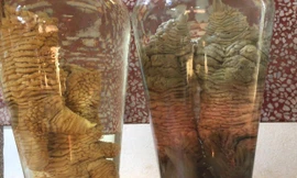 Hai bình rượu ngâm chân gà Đông tảo của anh Giang Tuấn Trưởng