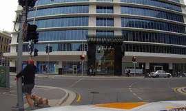 Clip hài hước người đi bộ mải mắng tài xế nên va vào cột đèn 