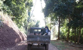 Phương tiện di chuyển lên bản khá hiếm nên Hoa hậu Tiểu Vy phải đi nhờ xe công nông của lực lượng Bộ đội biên phòng địa phương