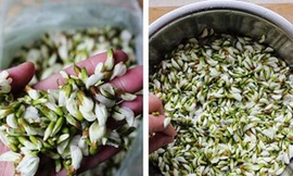 Món ăn từ hoa hòe chữa bệnh hiệu quả