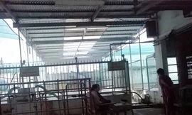 Hồ bơi nơi xảy ra vụ bé gái bị thanh niên dụ dỗ bắt đi 