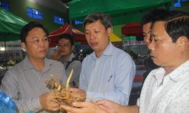 Những cây sâm quý có giá vài cây vàng vẫn đắt khách tại phiên chợ. Ảnh H. Văn