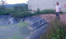 Hố biogas của trang trại lợn, nơi em Huyền gặp nạn. Ảnh: Đức Hùng