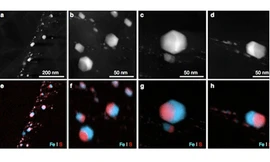 Nhóm nghiên cứu phân tích kim cương trong thiên thạch Almahata Sitta. Ảnh: EPFL.