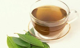 Uống nước vối không đúng cách, tai họa khôn lường