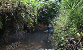 Hình ảnh suối Trầm hôm qua 