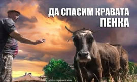 Lý do được đưa là là do con vật có thể mắc bệnh truyền nhiễm, có thể gây ảnh hưởng tới những con khác tại địa phương. Ảnh: Facebook