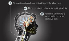 Chương trình TNT có thể giúp binh sĩ Mỹ học hỏi nhanh hơn. Ảnh: DARPA.