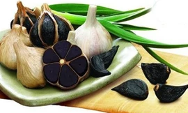 Cách làm tỏi đen tiền triệu cực dễ bằng nồi cơm điện