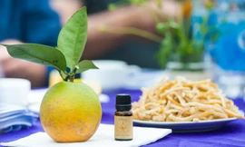 Sản phẩm của Cam Vinh Kỳ Yến