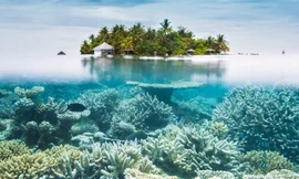 10 hòn đảo tuyệt vời nhất thế giới để bơi và lặn biển