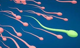 Đàn ông vô sinh dễ chết sớm