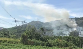 Hình ảnh cháy rừng gây nguy hiểm vận hành đường dây 500 kV