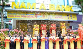 5 chi nhánh lớn và gần 20 phòng giao dịch tại các tỉnh thành trọng điểm đã được Nam A Bank chính thức đưa vào hoạt động. 
