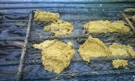 Cử nhân kinh tế đi nuôi lươn