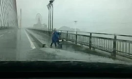 Mưa to, gió thổi rất mạnh, cầu Bãi Cháy cấm xe máy lưu thông.