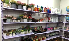 Nhà sách Tiền Phong tham dự Ngày hội khuyến mãi du lịch