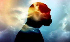 Một loài người cổ đại có thể đã đóng góp vật liệu di truyền cho tổ tiên của những người sống ở châu Phi hạ Sahara ngày nay. Ảnh: Đại học Buffalo.