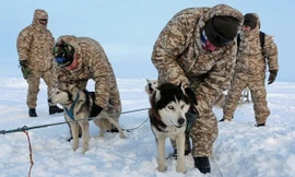 Quân khuyển đặc biệt của lính dù Nga ở Bắc Cực