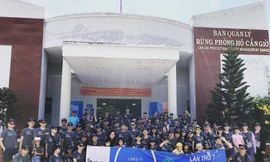 Liberty lọt Top 10 công ty bảo hiểm phi nhân thọ