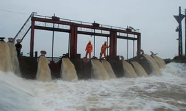 Đảm bảo cung ứng điện phục vụ bơm tưới nước vụ Đông Xuân 