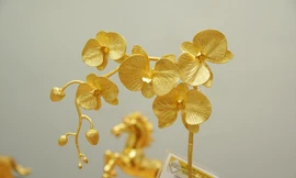 Chậu lan bằng vàng 24K chơi Tết của đại gia Hà Nội