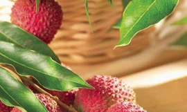 Các loại quả chữa bệnh khó nói của quý ông