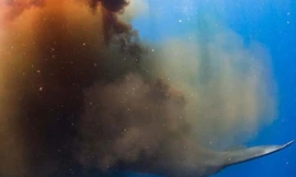 Ảnh: Caters News Agency