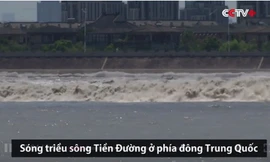 'Sóng thủy quái' hút người xem ở Trung Quốc