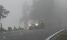 Xe từ Sa Pa xuống thành phố Lào Cai trên quốc lộ 4D sáng nay đều phải bật đèn vàng vì sương mù dày đặc làm hạn chế tầm nhìn của lái xe. 