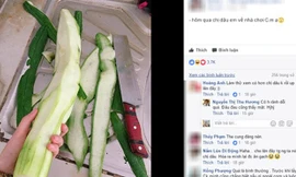 Chê chị dâu đảm gọt mướp trơ ruột, em chồng bị 'ném đá'