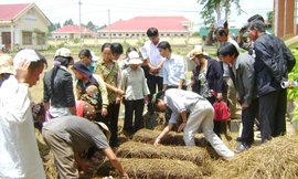 Qua học nghề giúp lao động nông thôn thoát nghèo