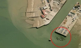 Bức ảnh chụp "con cua khổng lồ" (Ảnh Weird Whitstable)