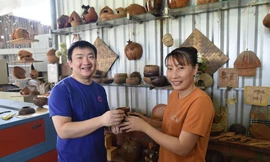 Dừa Bến Tre lần đầu tiên lên chợ điện tử Lazada