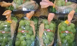 Nho xanh không hạt Nhật Bản đang được giới nhà giàu Việt chuộng mua về ăn