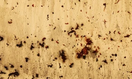 Một phần tác phẩm tranh tường “Khởi nguồn của màu sắc” của tác giả Quỳnh Lâm