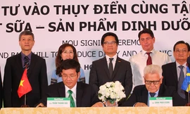 NutiFood đầu tư vào Thủy Điển cùng tập đoàn Backahill sản xuất sữa