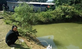 Ao nước nơi xảy ra sự việc. Ảnh: Q.A.