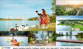 Sống xanh, sống đẳng cấp cùng biệt thự đảo Ecopark Grand The Island