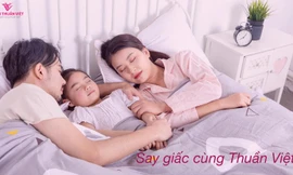 Nệm Thuần Việt ra mắt thị trường hai dòng sản phẩm mới