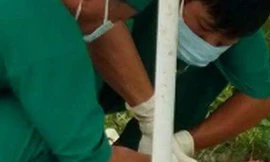 Kinh hãi phát hiện thi thể bé sơ sinh trong giỏ xách bỏ ven đường