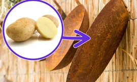 Tác dụng bất ngờ ít ai biết của khoai tây