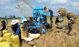 Duy trì sản lượng gạo xuất khẩu trung bình 6 - 7 triệu tấn mỗi năm, Việt Nam đã vươn lên vị trí nước xuất khẩu gạo lớn thứ 2 trên thế giới 