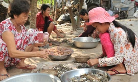 Do thời gian Tết rơi vào mùa nắng nên lượng nhái hiện nay rất khan hiếm