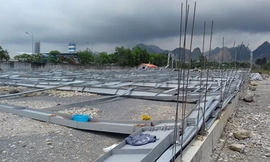 Hàng nghìn m2 nhà xưởng của Công ty cổ phần Hafprodex đổ xuống đất, đè trúng 4 công nhân. Ảnh: Tân Lập.