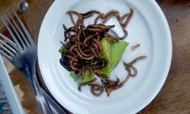 10 món ăn lạ lùng của các nhà hàng trên thế giới