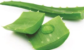 Nha đam kết hợp với nước sâm tạo nên vị thanh mát rất ngon