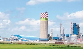 Thanh tra kiến nghị giao Bộ Công an điều tra sai phạm tại Đạm Ninh Bình