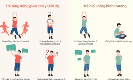 Khác biệt giữa trẻ tăng động và trẻ hiếu động